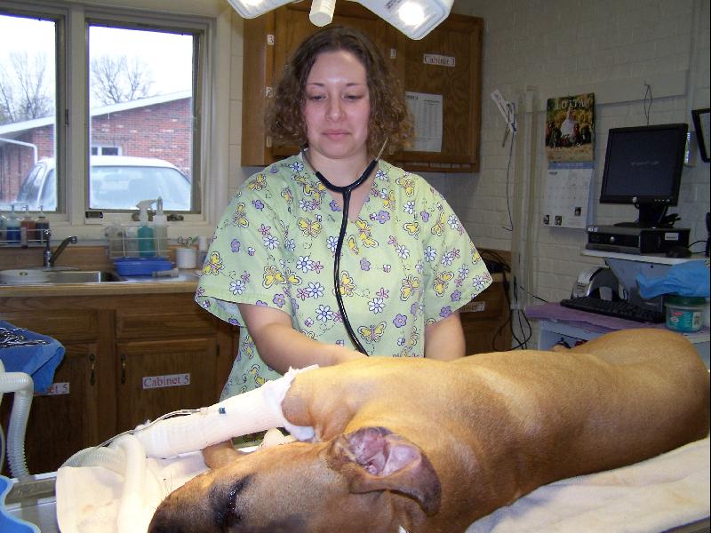 Maggie monitoring a patient waking up from surgery resized to 800 pixels wide