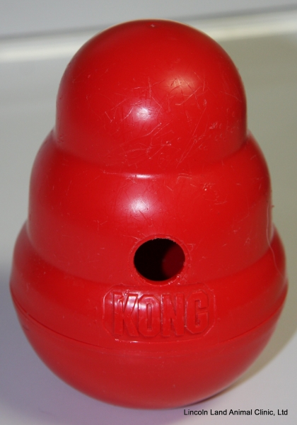 Kong wobblers decrease stress in the kennels at Lincoln Land Animal Clinic, LTD, Jacksonville, IL 62650. 217-245-9508