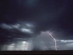 Dog training, dog behavior, thunderstorm phobia and anxiety. See Dr Koch at Lincoln Land Animal Clinic Jacksonville IL