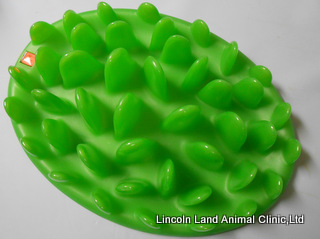 Green Feeder Food Puzzle at Lincoln Land Animal Clinic, Ltd. Jacksonville, IL 62650. 217-245-9508