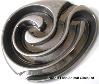 Buster Maze Feeder.  Lincoln Land Animal Clinic, Ltd, Jacksonville, IL 62650. 217-245-9508