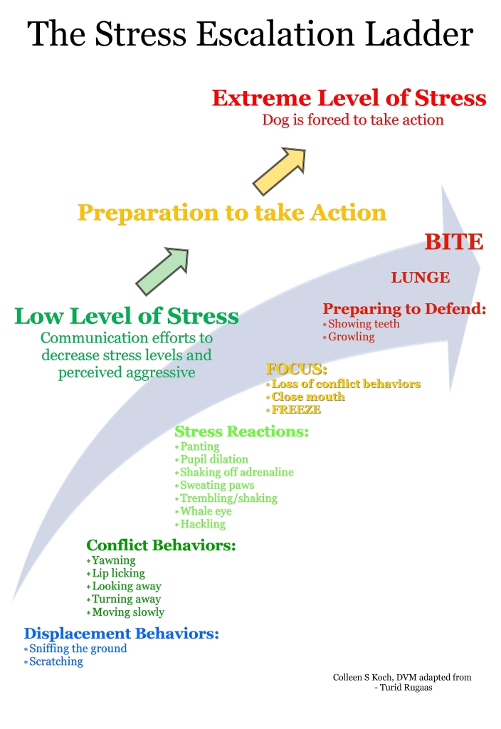 Stress escalation ladder at Lincoln Land Animal Clinic, Ltd. 217-245-9508