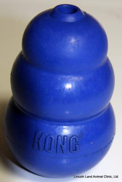 Blue kongs are used as part of our low stress handling at Lincoln Land Animal Clinic, Ltd, Jacksonville, IL 217-245-9508