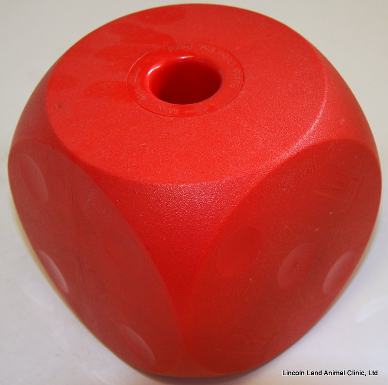 Buster cube Buster cube