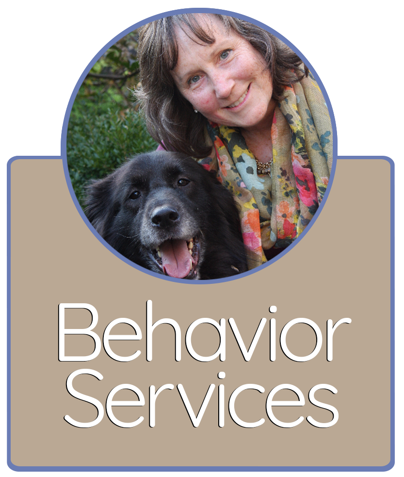 Behavior Services