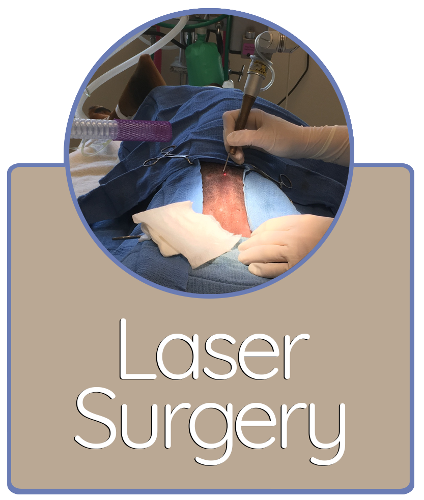 Laser Surgery