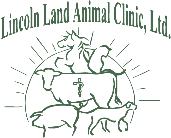 Lincoln Land logo